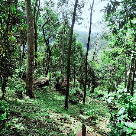Royal Mount Hotel Kandy Eksteriør bilde